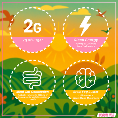 Yerba Mate Instant Tea Powder